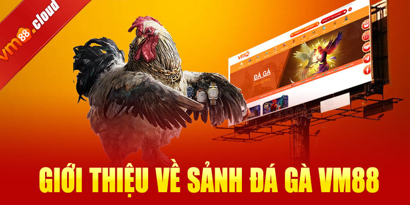 Giới thiệu về sảnh đá gà VM88